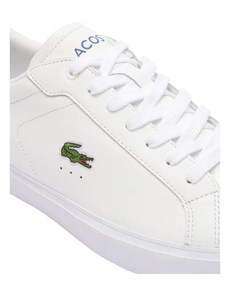 myer lacoste sneakers.